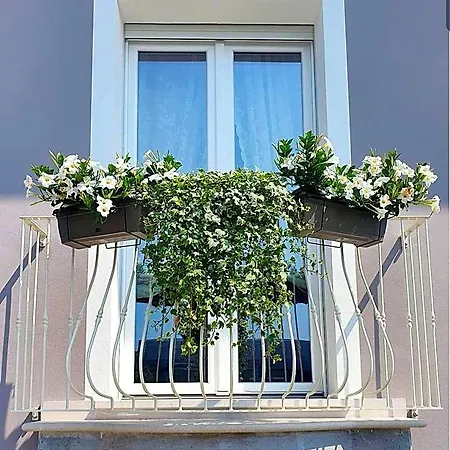 Romantic Pensión